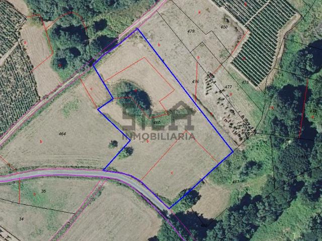 Casa Rural en venta en Coles, Ourense