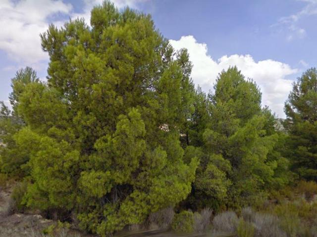 Terreno en venta en Virgen de las Huertas, Alto Guadalentín