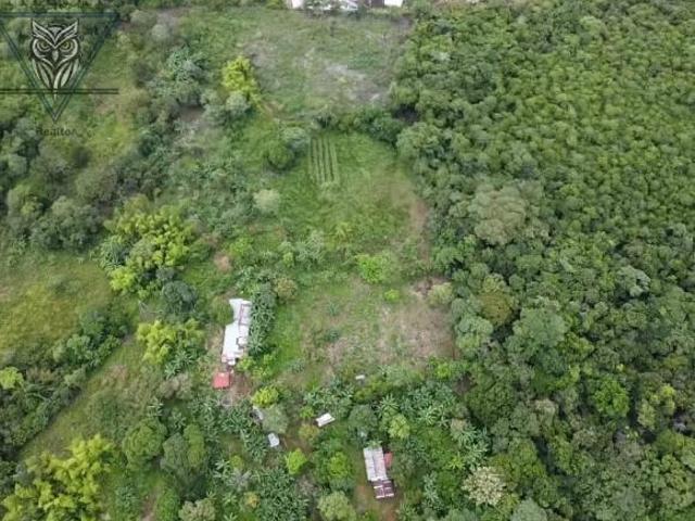 Venta Finca Potrerillo Dolega Chiriquí