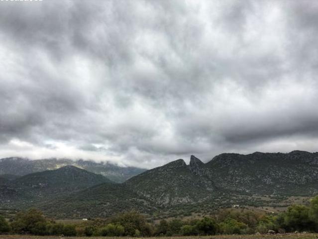 Local Comercial en venta en Sierra de Cádiz, Andalucía
