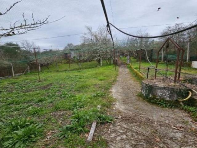 Local Comercial en venta en Ourense, Galicia