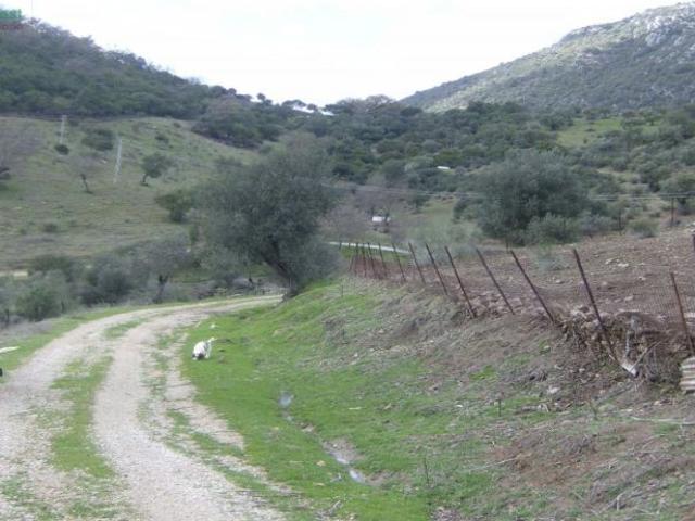 Local Comercial en venta en Sierra de Cádiz, Andalucía