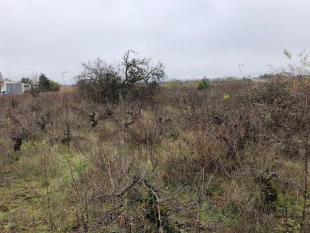 Local Comercial en venta en El Bierzo, Castilla y León