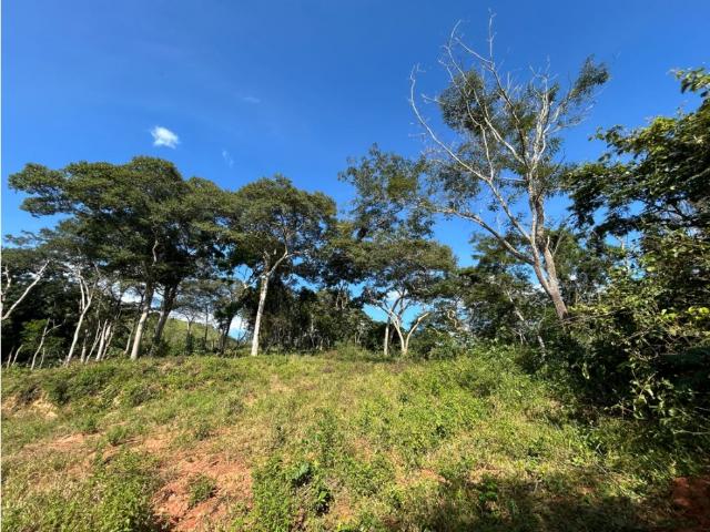 Finca en venta en Valencia
