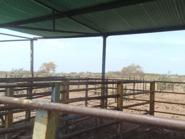 Finca en venta en Calabozo, Guárico