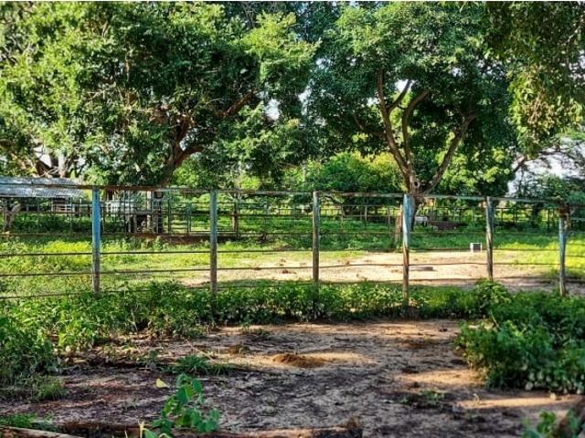 Finca en venta en Caicara Del Orinoco, Bolívar