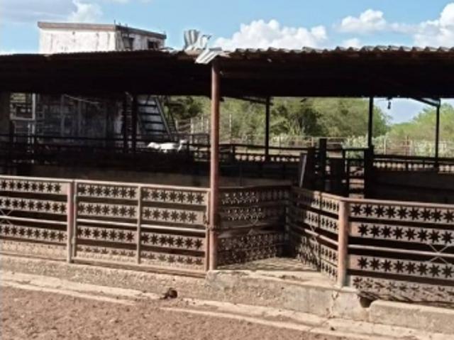 Finca en venta en Roscio, Guárico