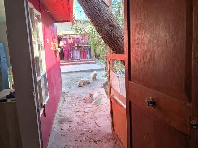 Local Comercial en venta en Parinacota, Atacama