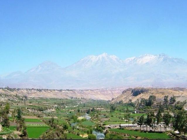 Local Comercial venta en Socabaya, Characta Hacienda