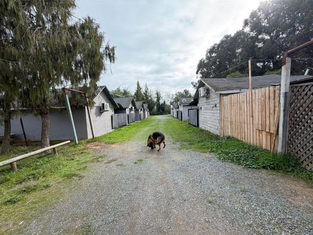 Local Comercial en venta en Maule