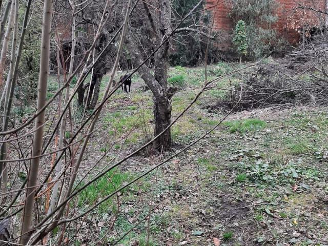 Local Comercial en venta en Puyehue