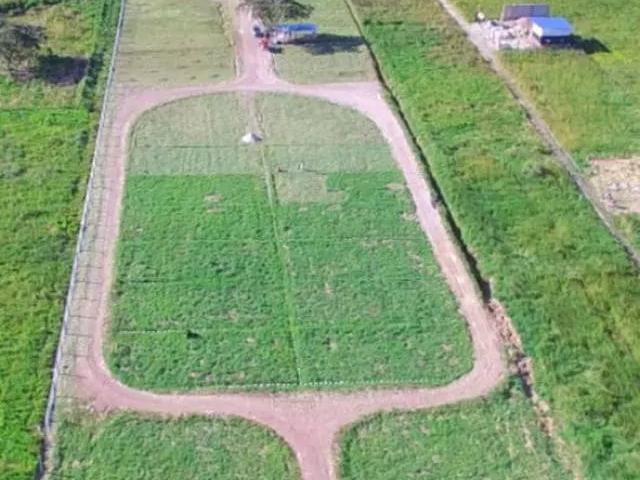 Terreno venta en Chontabamba, Pasco