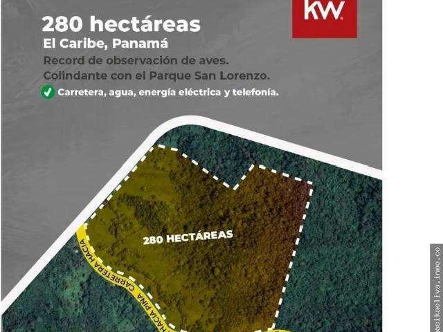 Terreno alquiler en Colón