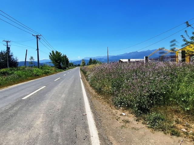 Venta o Arriendo Bodega entre Rosario y Rengo