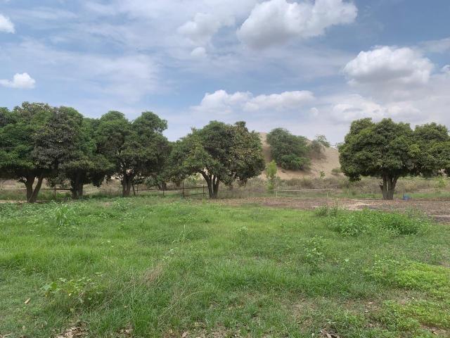 Terreno venta en Parcona, Ica