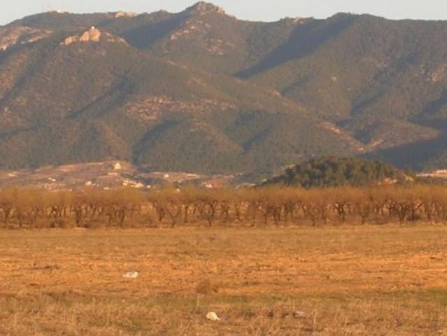 Terreno en venta en Valle de Ricote, Murcia