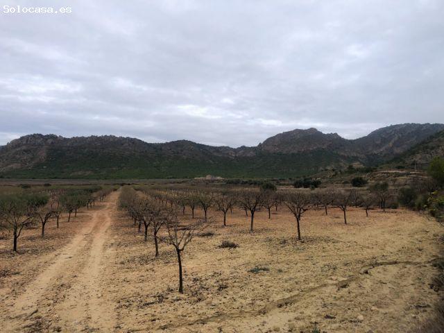 Local Comercial en venta en Valle de Ricote, Murcia