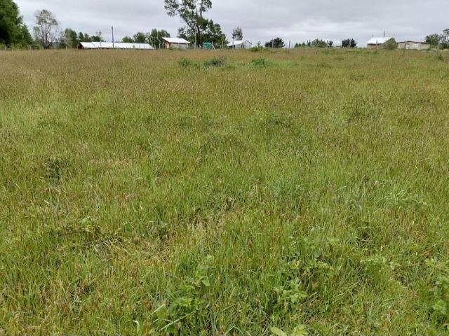 Terreno en venta en Cunco, La Araucanía