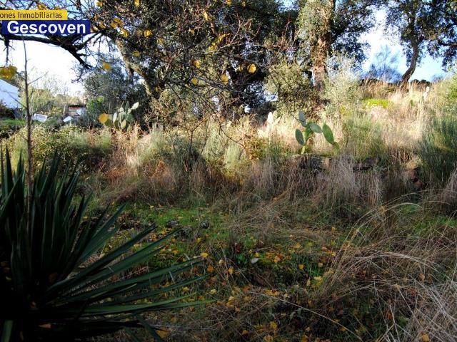 Terreno en venta en Valencia De Alcántara, Extremadura