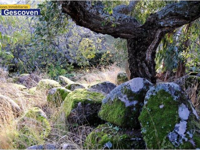 Local Comercial en venta en Valencia De Alcántara, Extremadura