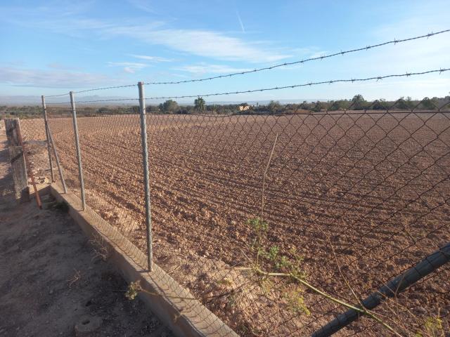 Terreno en venta en Carrús Oest, el Baix Vinalopó