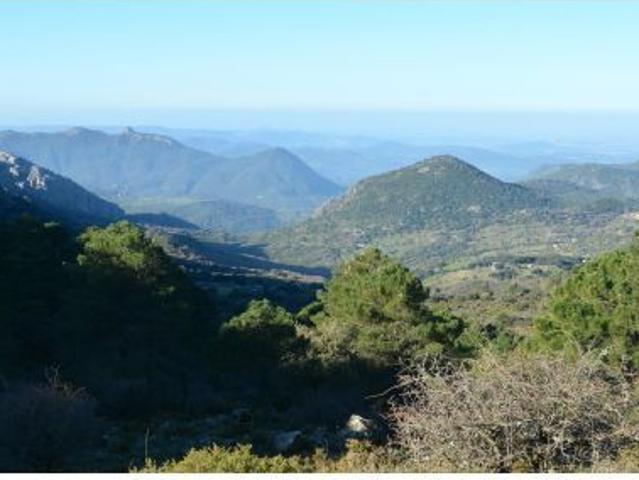 Local Comercial en venta en Sierra de Cádiz, Andalucía