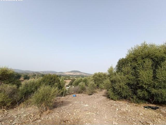 Local Comercial en venta en Sierra de Cádiz, Andalucía