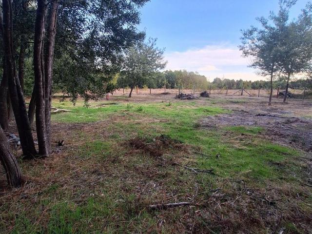 Terreno en venta en Monte Águila, Cabrero