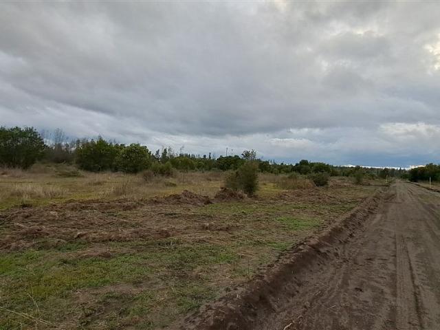Terreno en venta en Cabrero, Biobío
