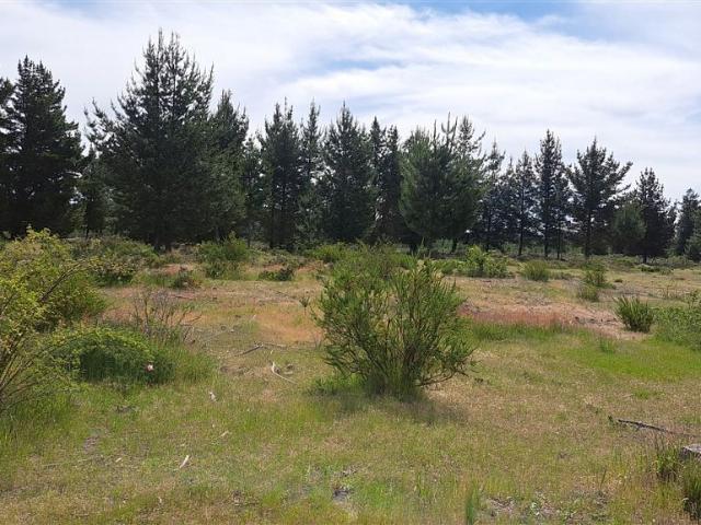 Terreno en venta en Cabrero, Biobío