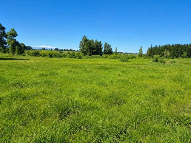 Terreno en venta en Centro de Chillán, Chillán