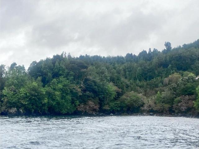 Terreno en venta en Puerto Cisnes, Cisnes