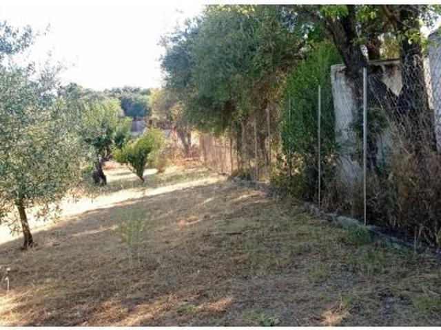 Local Comercial en venta en Sierra de Cádiz, Andalucía