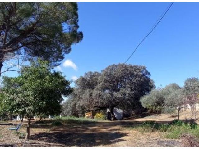 Local Comercial en venta en Sierra de Cádiz, Andalucía