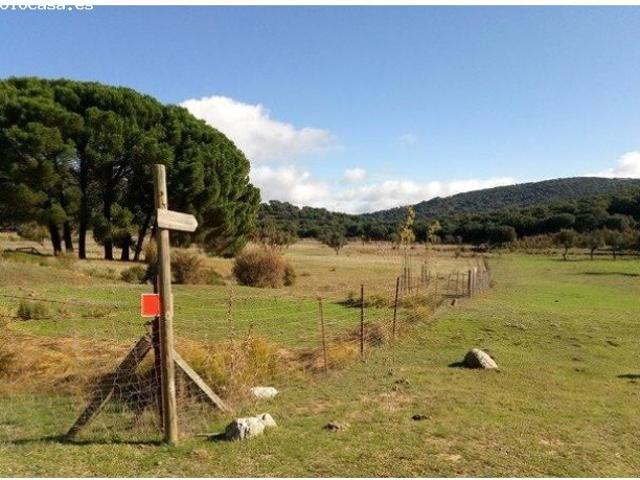 Local Comercial en venta en Sierra de Cádiz, Andalucía