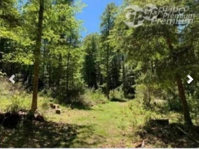 Terreno en venta en Curarrehue, La Araucanía