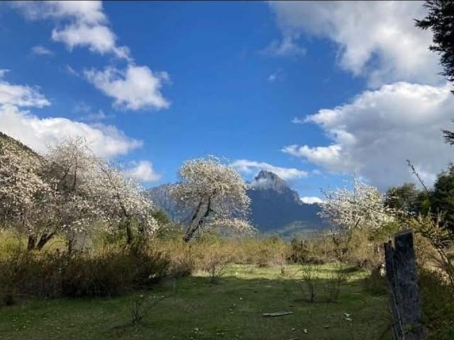 Terreno en venta en Curarrehue, La Araucanía