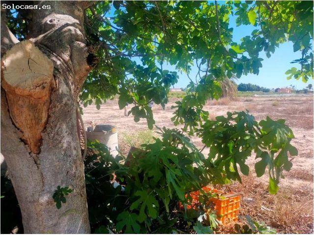 Casa en venta en El Llano, Cantoria