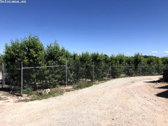 Local Comercial en venta en Vega Alta del Segura, Murcia