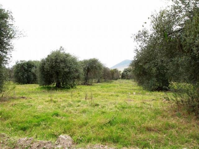 Terreno en venta en Huasco, Atacama