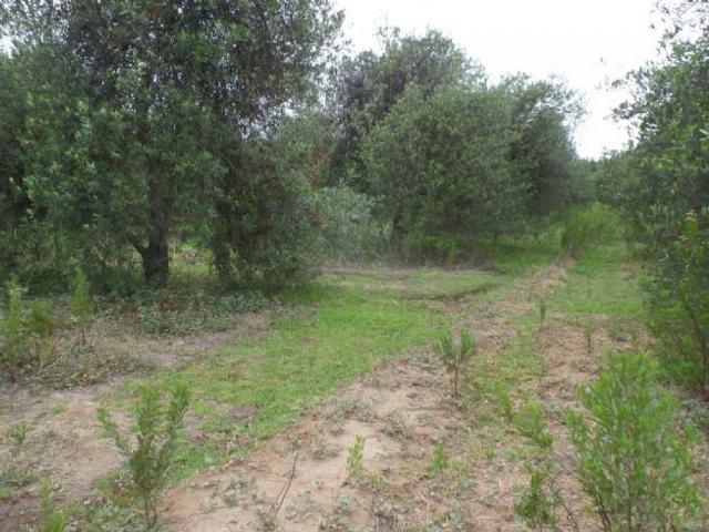 Terreno en venta en Huasco, Atacama