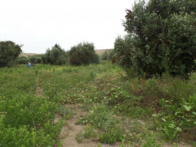 Terreno en venta en Huasco, Atacama
