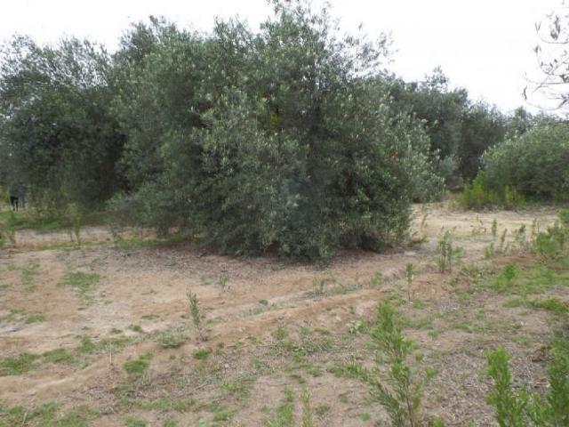 Terreno en venta en Huasco, Atacama