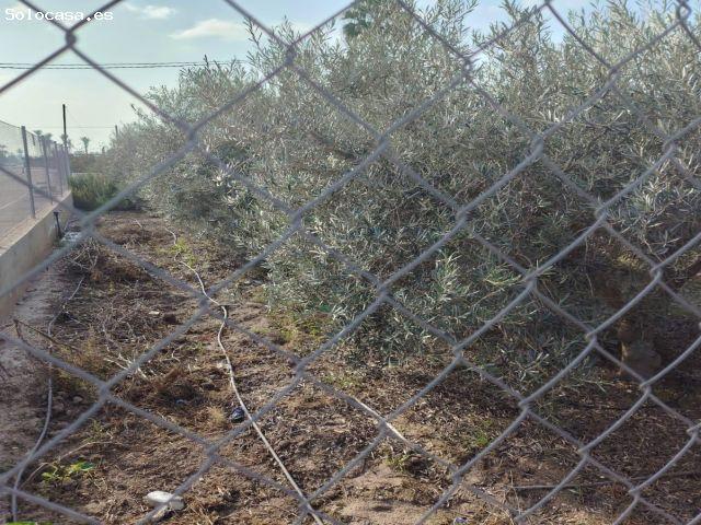Local Comercial en venta en Elche De La Sierra, Castilla-La Mancha