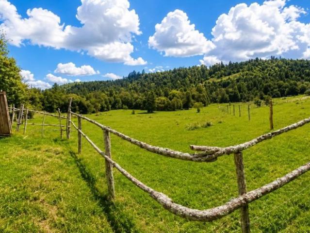 Terreno en venta en Lago Ranco, Los Ríos