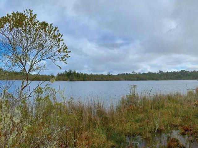 Terreno en venta en Quemchi, Los Lagos