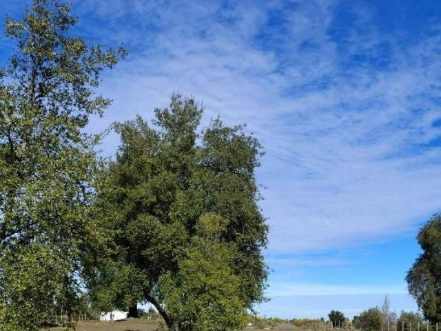 Terreno en venta en Ñuble
