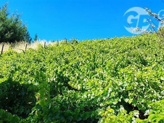 Terreno en venta en Biobío