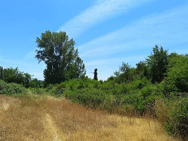 Terreno en venta en Retiro, Maule