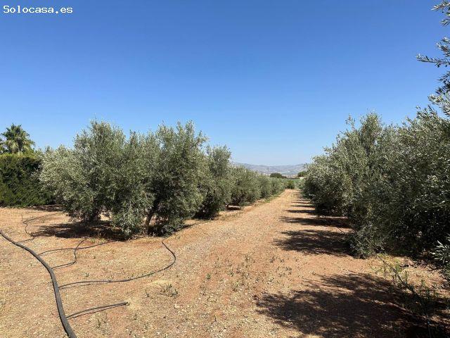 Local Comercial en venta en Comarca de la Vega de Granada, Andalucía